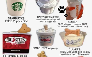 Free Treats for Your Furry Bestie: Where to Snag Pup Cups & More!