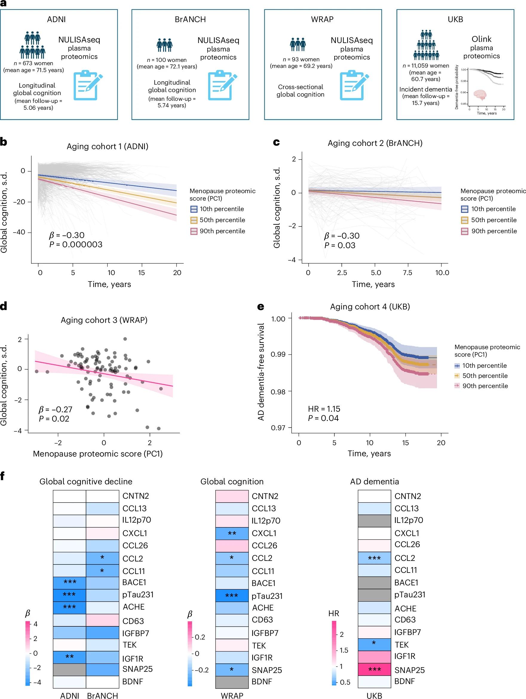 Menopause leaves a molecular signature linked to brain aging