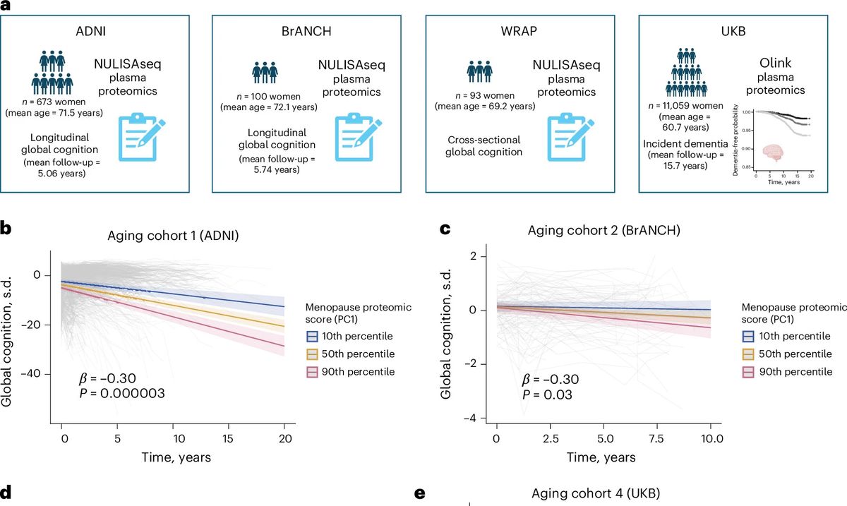 Menopause leaves a molecular signature linked to brain aging