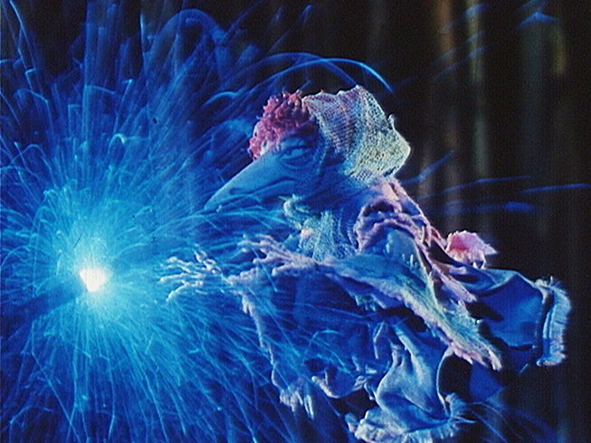 Urwaldmärchen - DEFA Animation (DEFA16797)