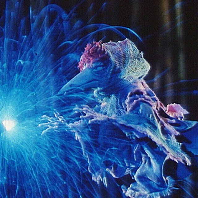 Urwaldmärchen - DEFA Animation (DEFA16797) Urwaldmärchen - DEFA Animation (DEFA16797)