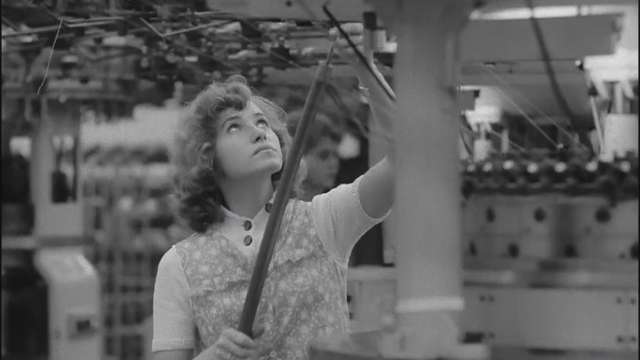 Wieder in Wittstock (1976) Wieder in Wittstock (1976)