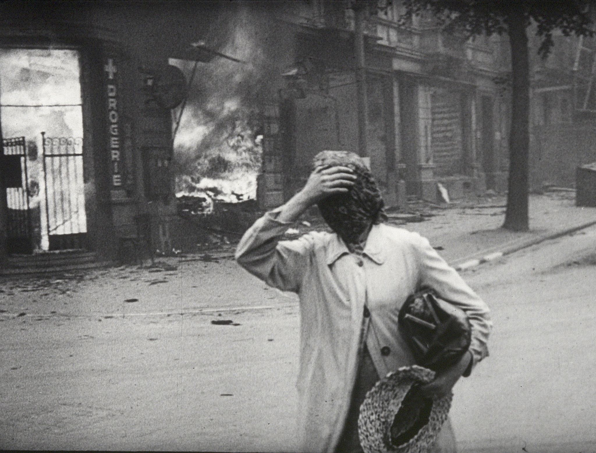 Still aus LUFTKRIEG - DIE NATURGESCHICHTE DER ZERSTÖRUNG