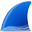 icon of Wireshark