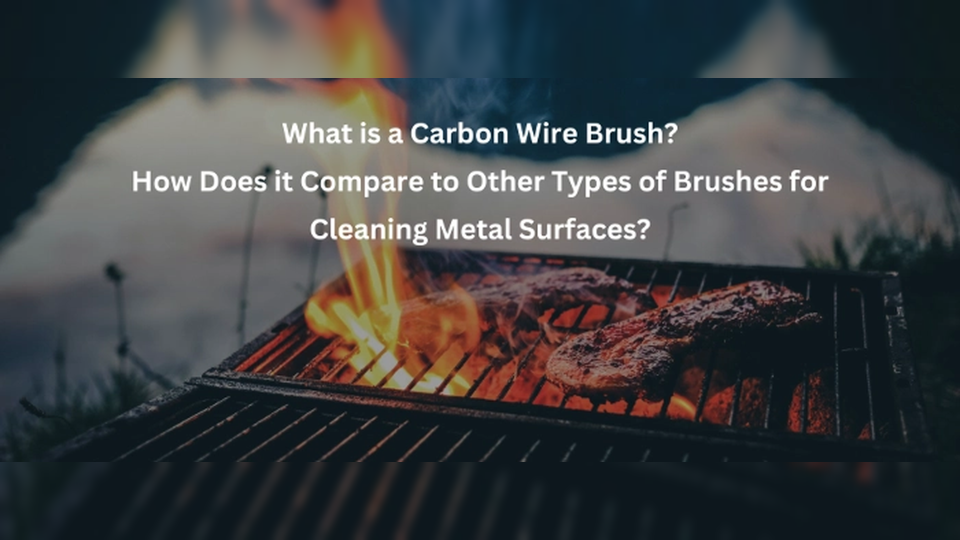 Grill Brush Reddit: Top Picks for Clean Grilling