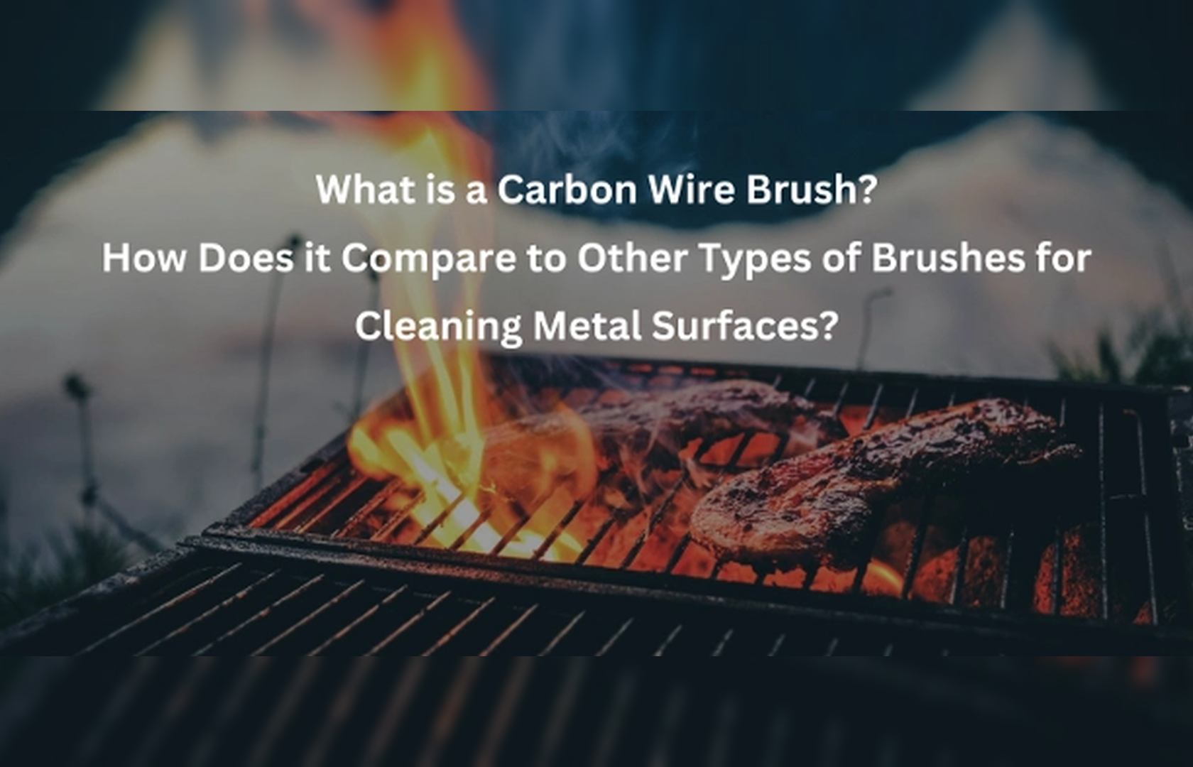 Grill Brush Reddit: Top Picks for Clean Grilling