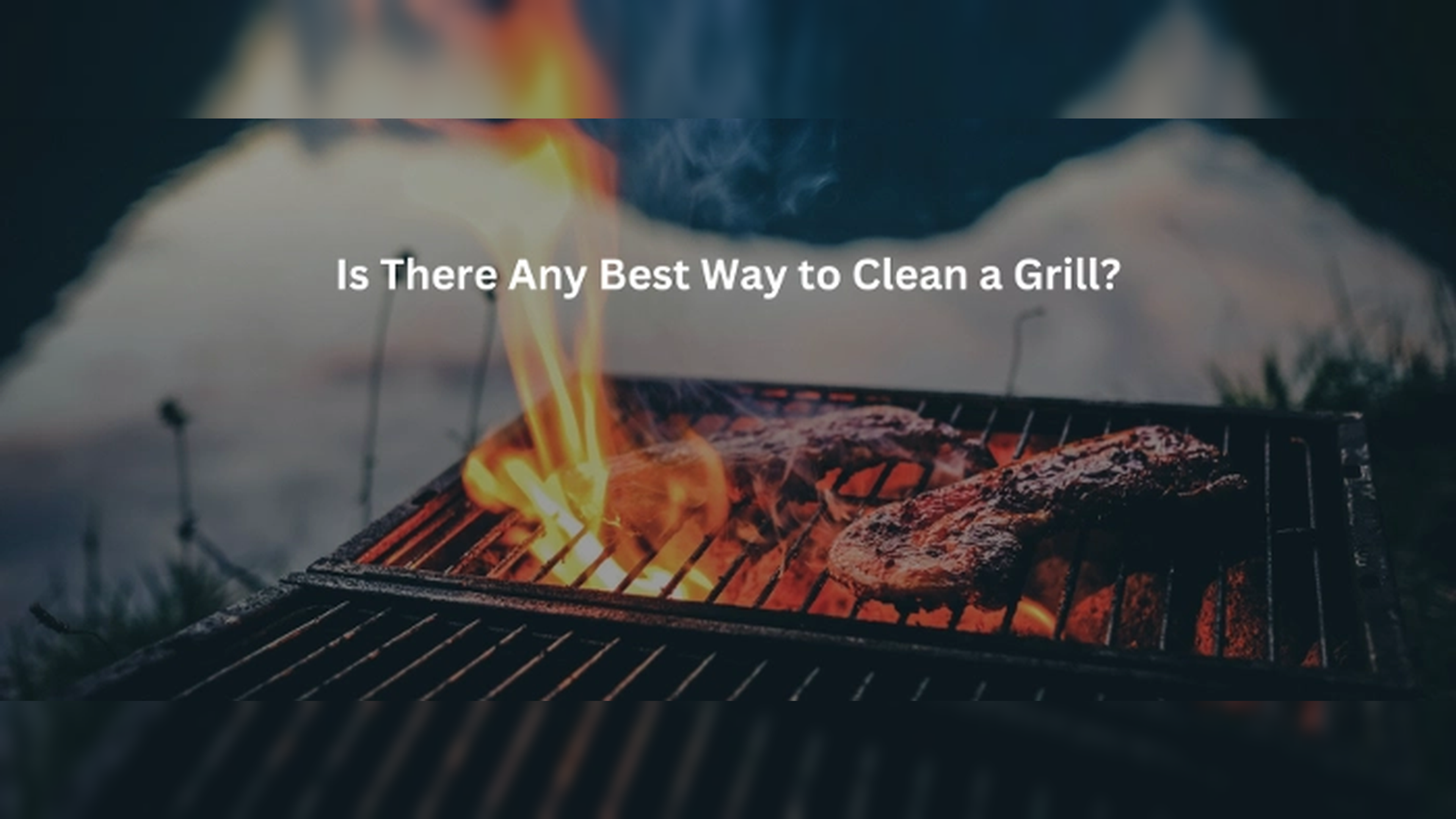 101 Grill Cleaning: Onion Magic for a Tasteful and Tidy Barbecue!