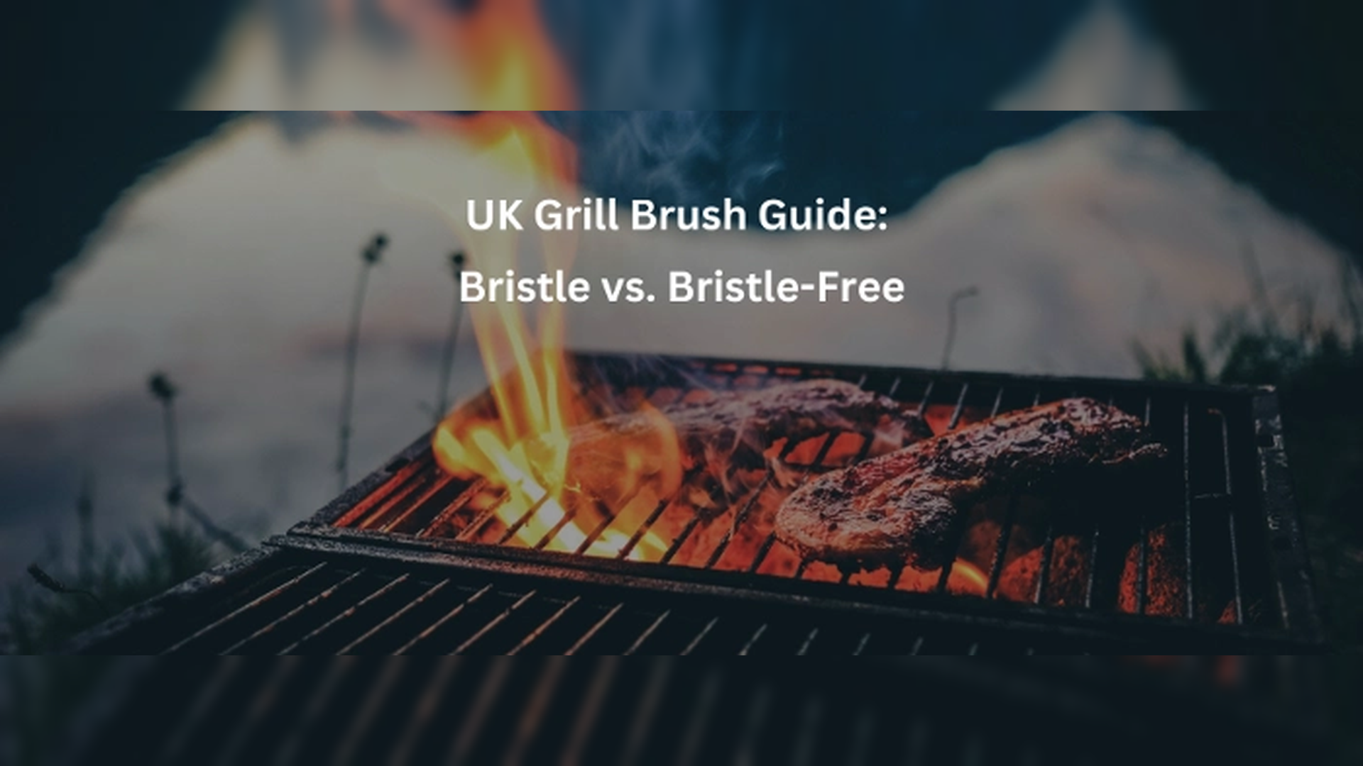 Can Grill Cleaner and Vinegar Duo Conquer the Toughest Grease and Grime?