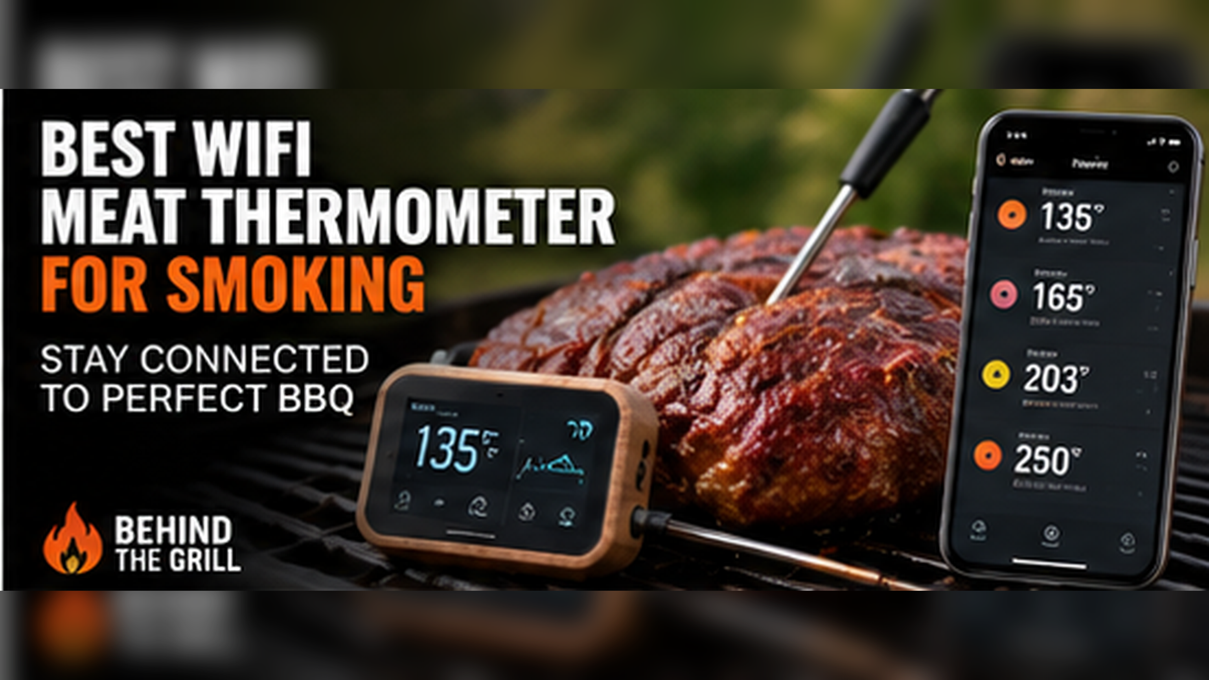 Discover the Best WiFi Meat Thermometer for Smoking