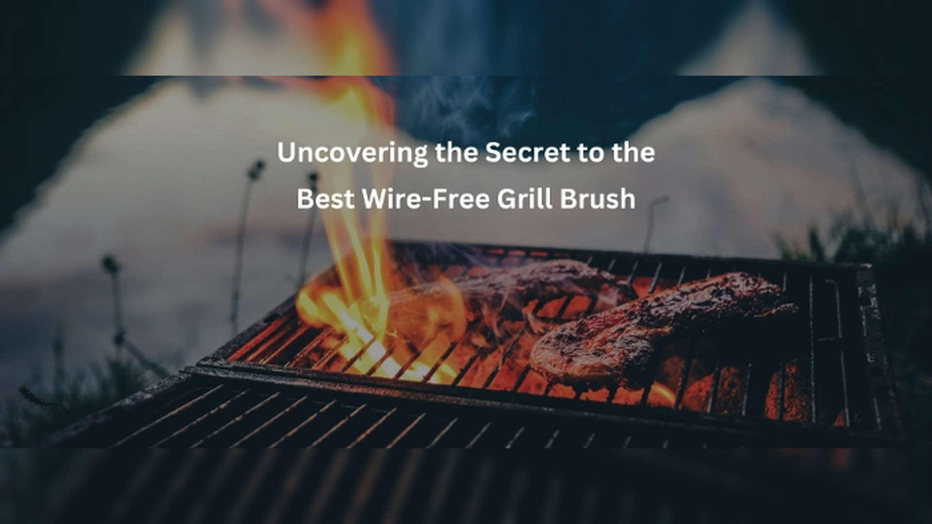 The Never-Ending Quest for the Best Grill Brush Without Wire Bristles