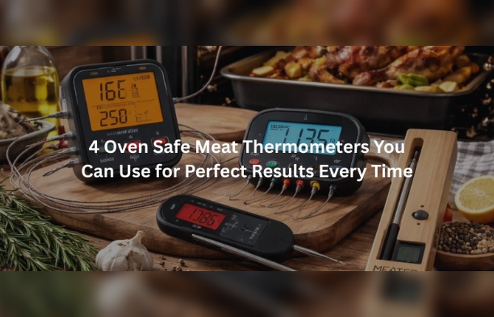 Top 4 Oven Safe Meat Thermometers You Can Use