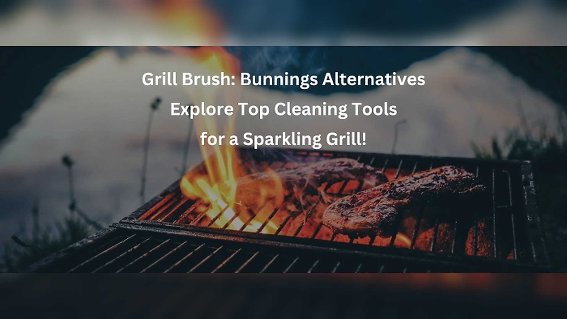 Grill Brush: Bunnings Alternatives - Exploring Top-Rated Cleaning Tools