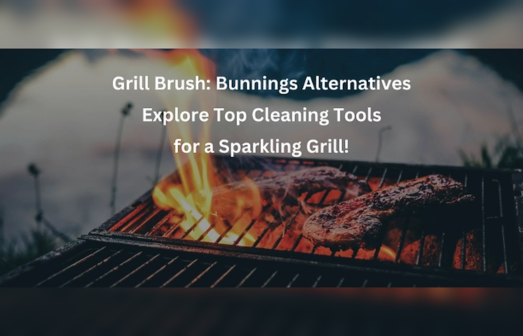 Grill Brush: Bunnings Alternatives - Exploring Top-Rated Cleaning Tools