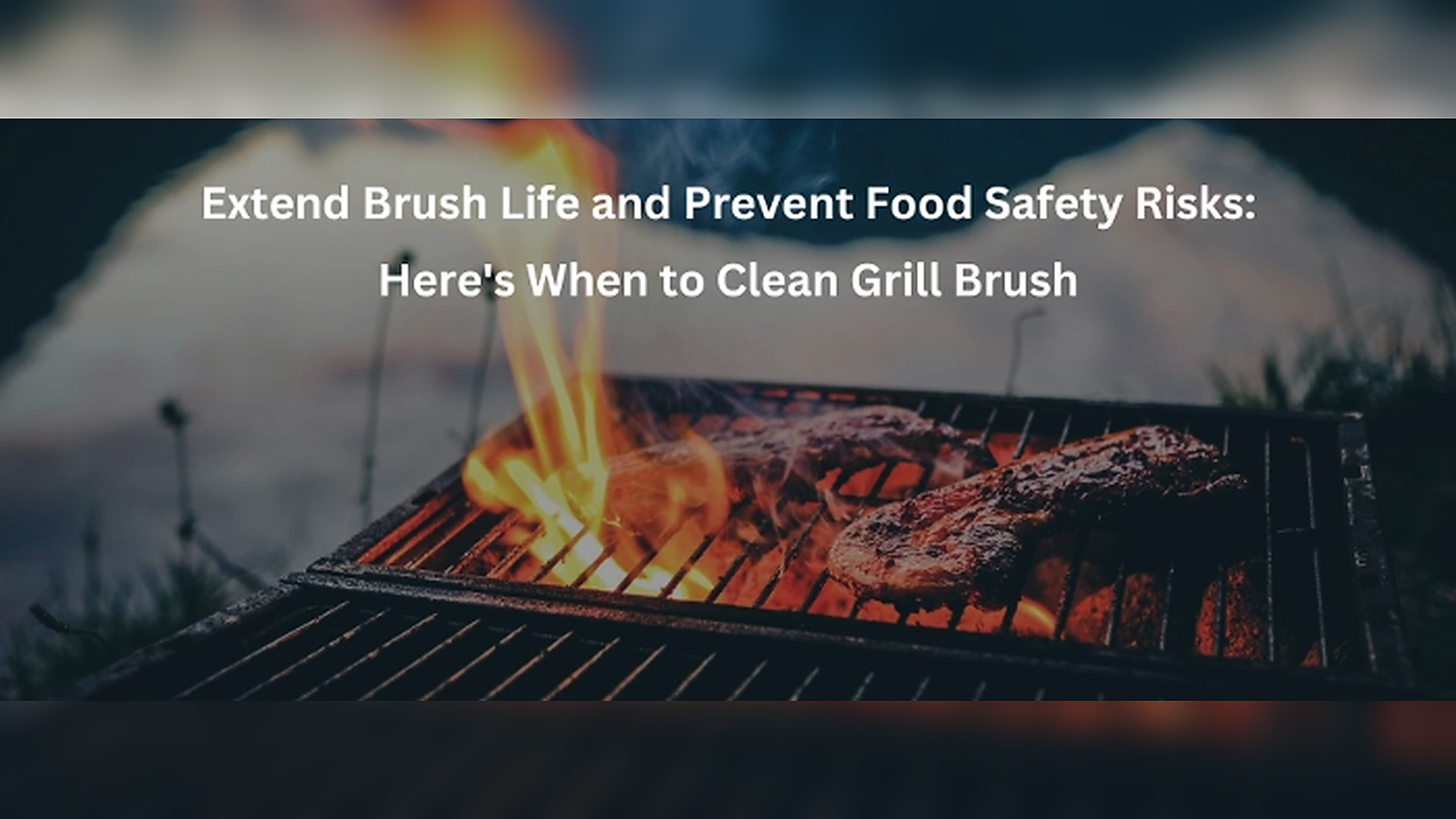 Extend Brush Life and Prevent Food Safety Risks: Here's When to Clean Grill
