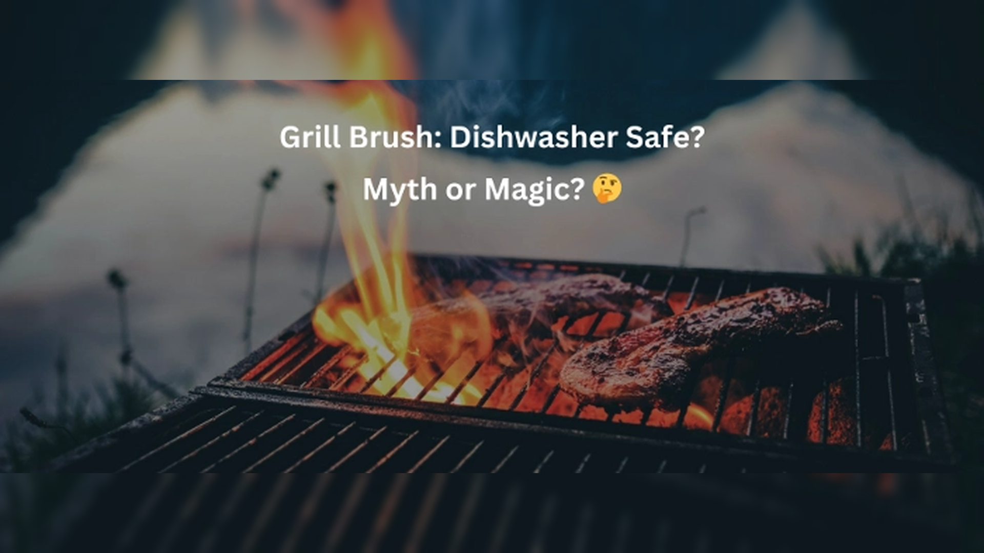 Find the Best Non-Bristle Grill Brush for Safe Grilling