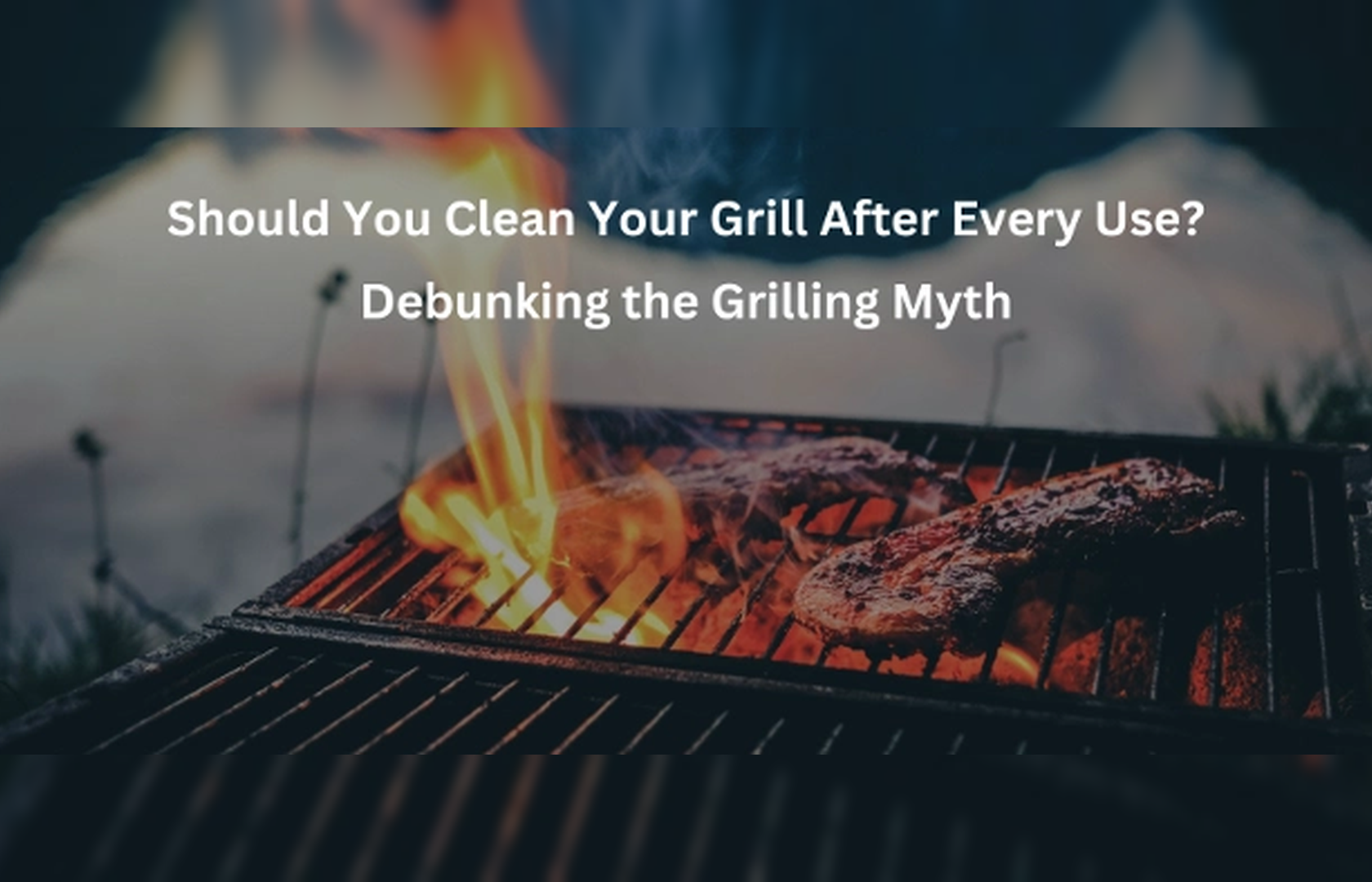 Does Onion Sanitize the Grill? Let's Test This Grilling Trick