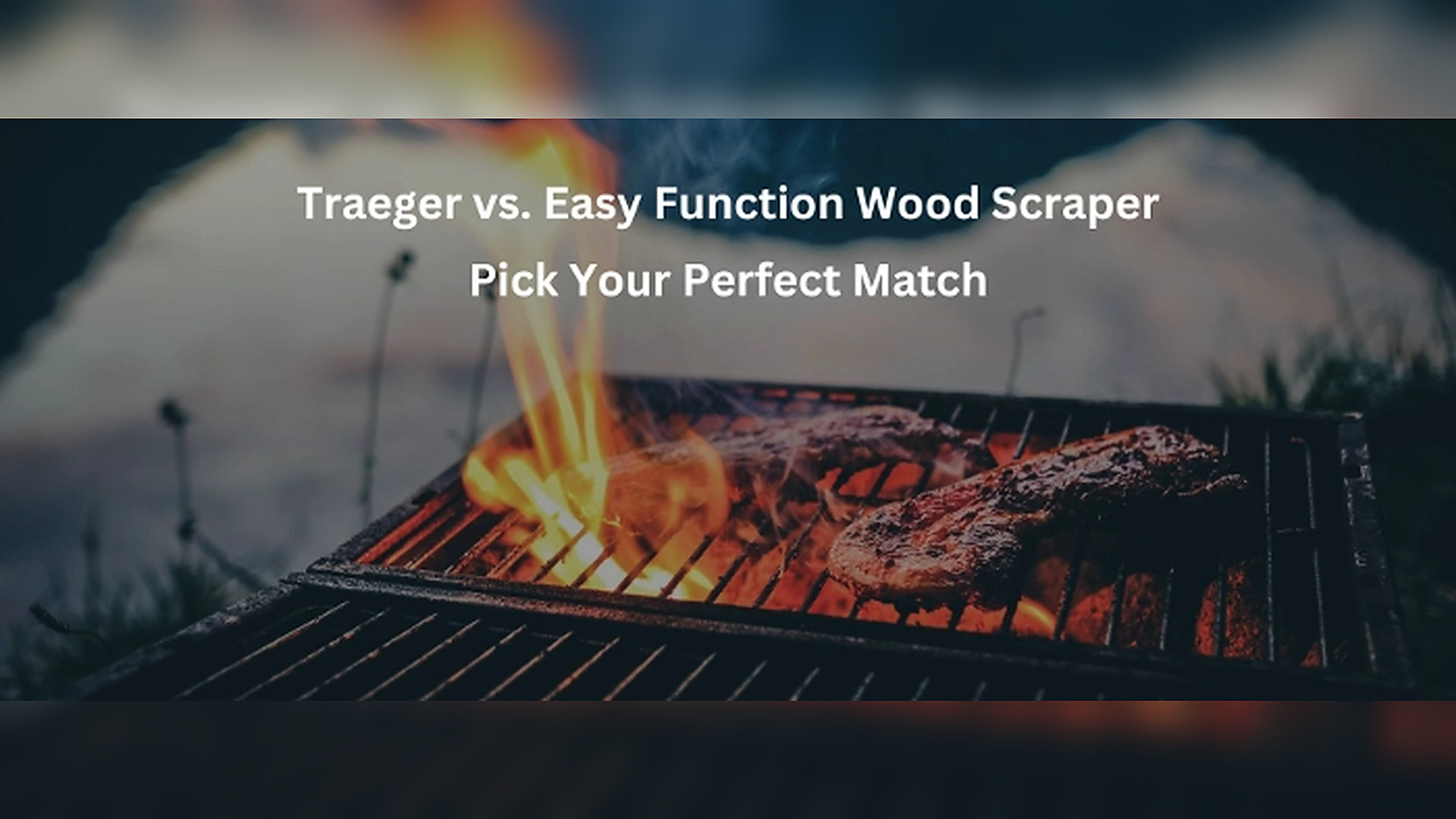 Traeger Wood Grill Scraper vs Easy Function Wood Grill Scraper