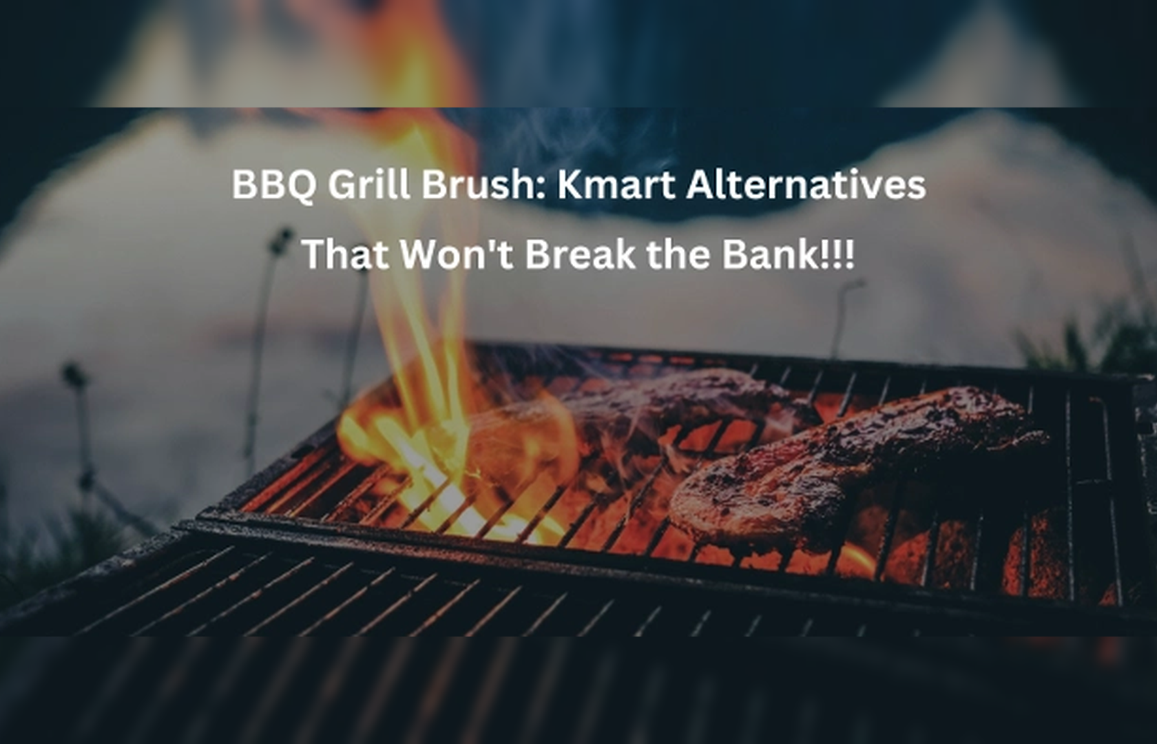BBQ Grill Brush: Kmart Alternatives That Won't Break the Bank