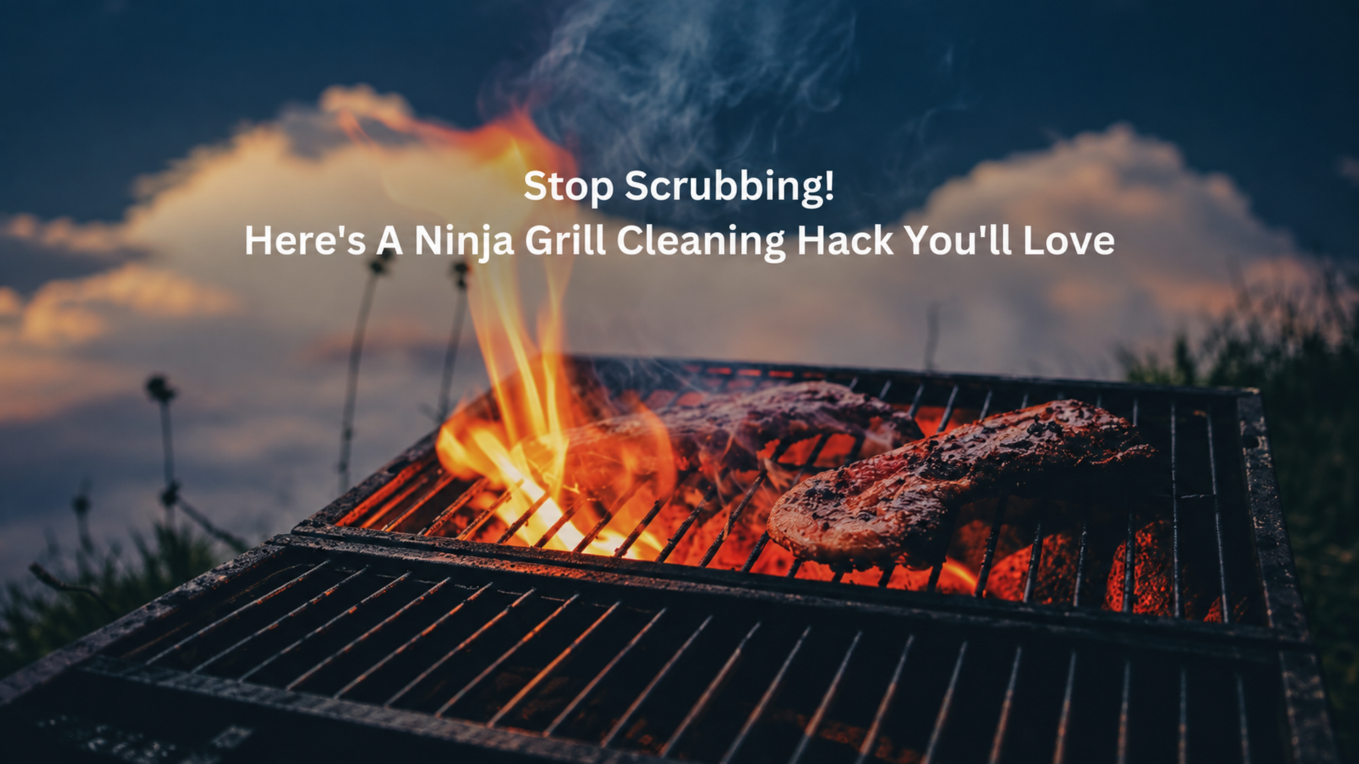 Stop Scrubbing! Here's A Ninja Grill Cleaning Hack You'll Love