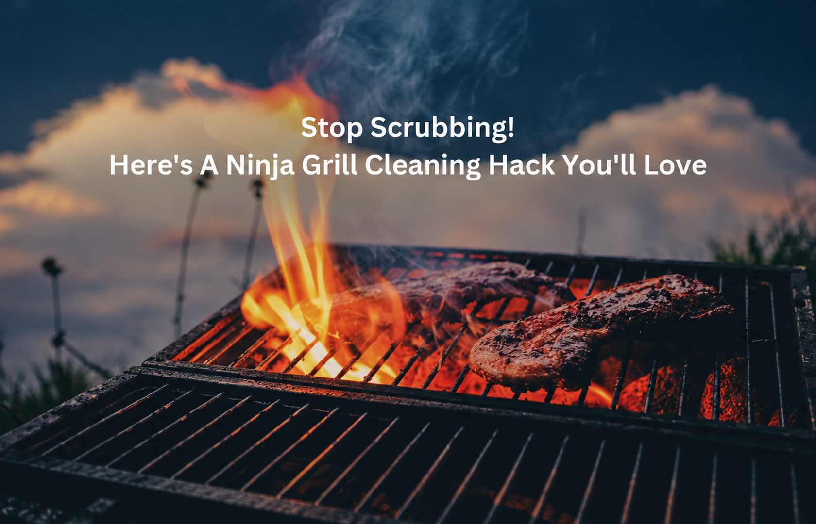 Stop Scrubbing! Here's A Ninja Grill Cleaning Hack You'll Love