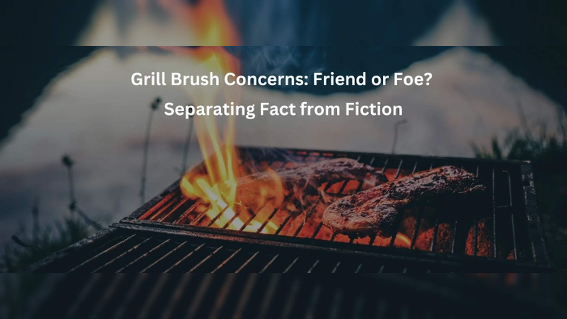 What is a Grill Cleaning Steam Brush? Is It Effective or Overhyped?