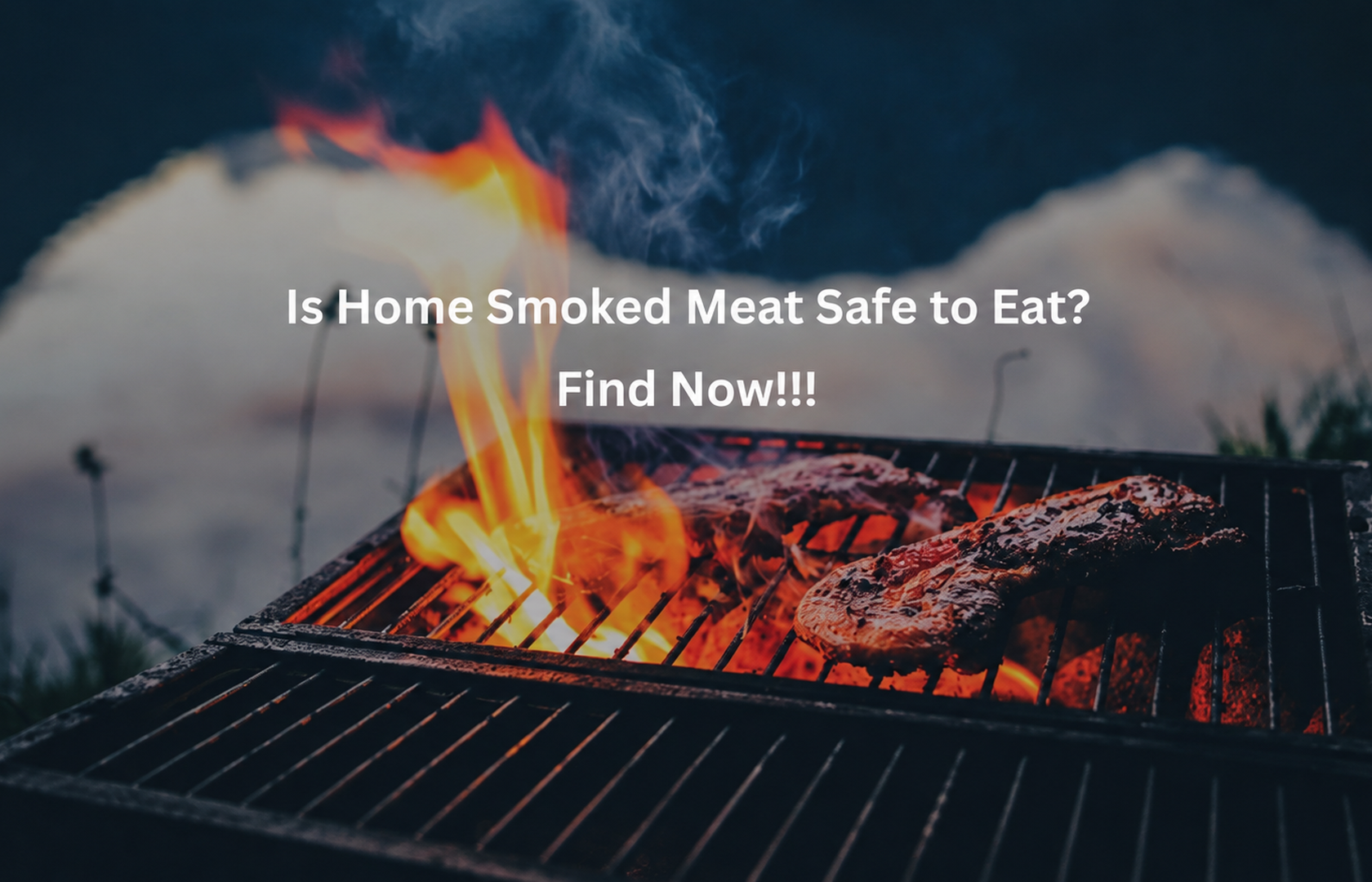 Is Home Smoked Meat Healthy or a Hidden Health Risk? Myths Debunked!
