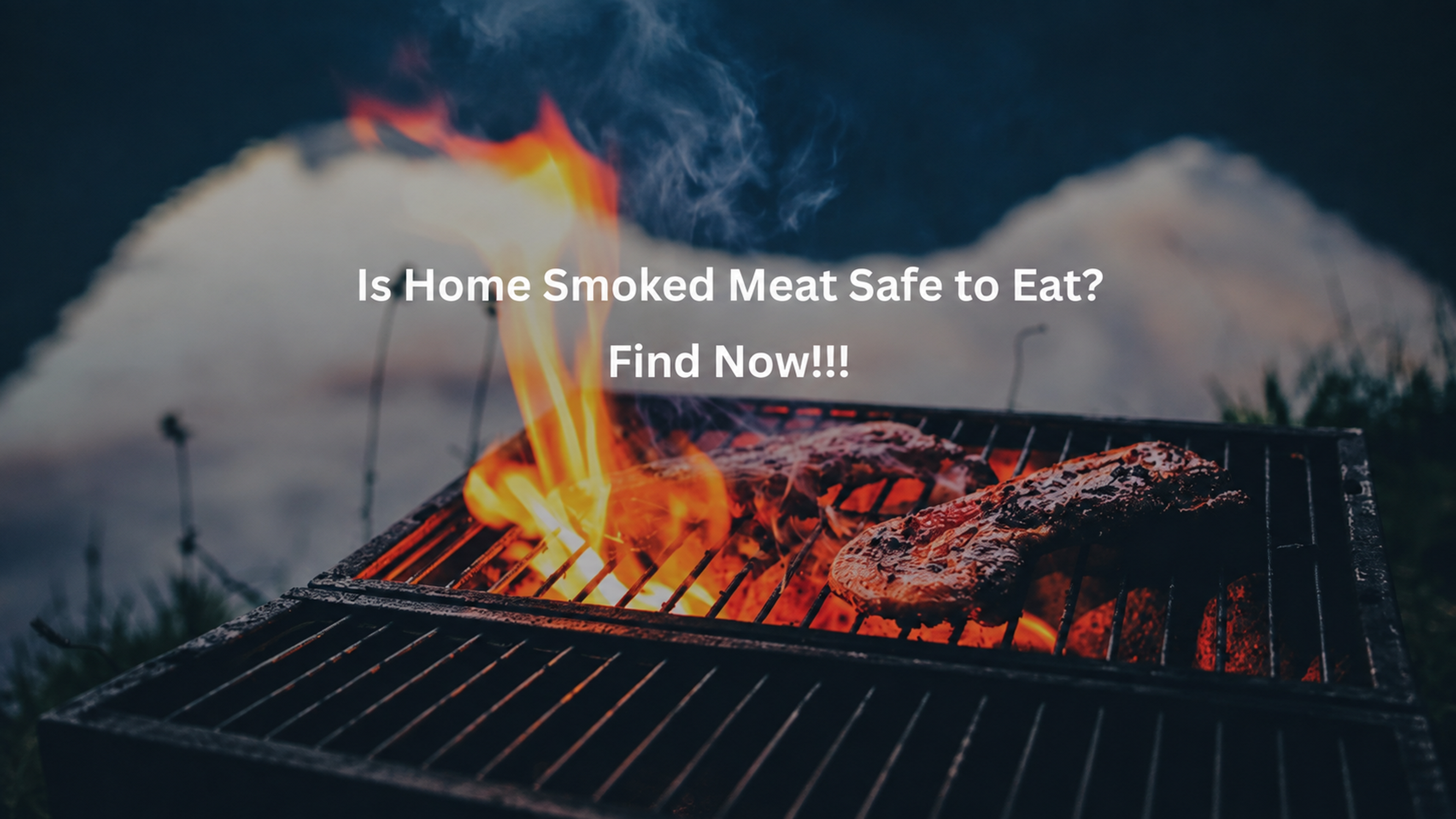 Is Home Smoked Meat Healthy or a Hidden Health Risk? Myths Debunked!