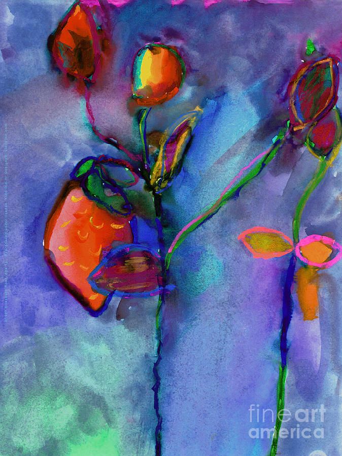 Delivering books and educational materials to children in rural provinces like Hà Giang and Sapa