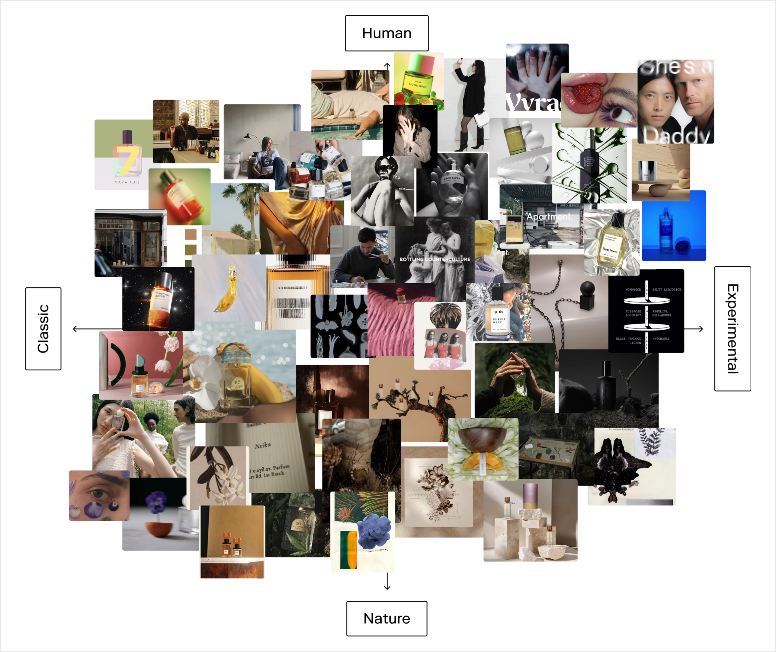 Fragrance Brand Graph