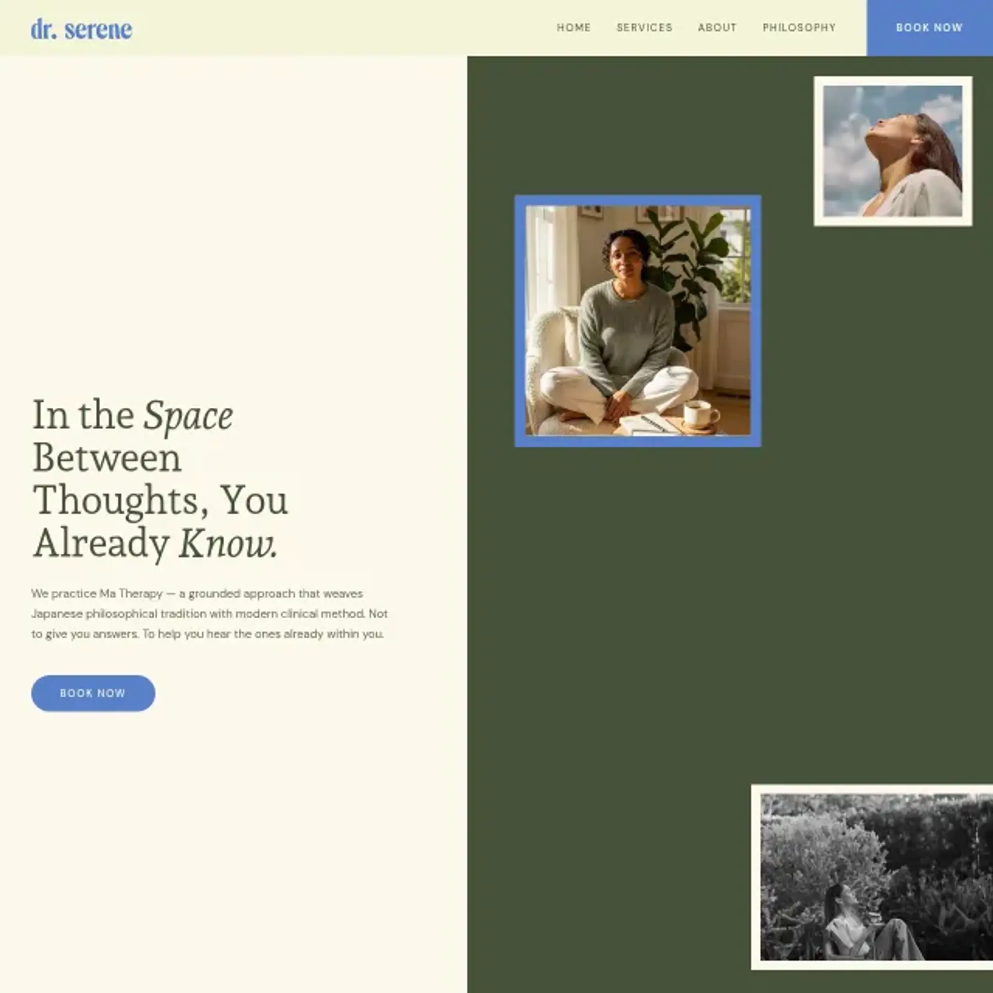 Dr. Serene desktop preview