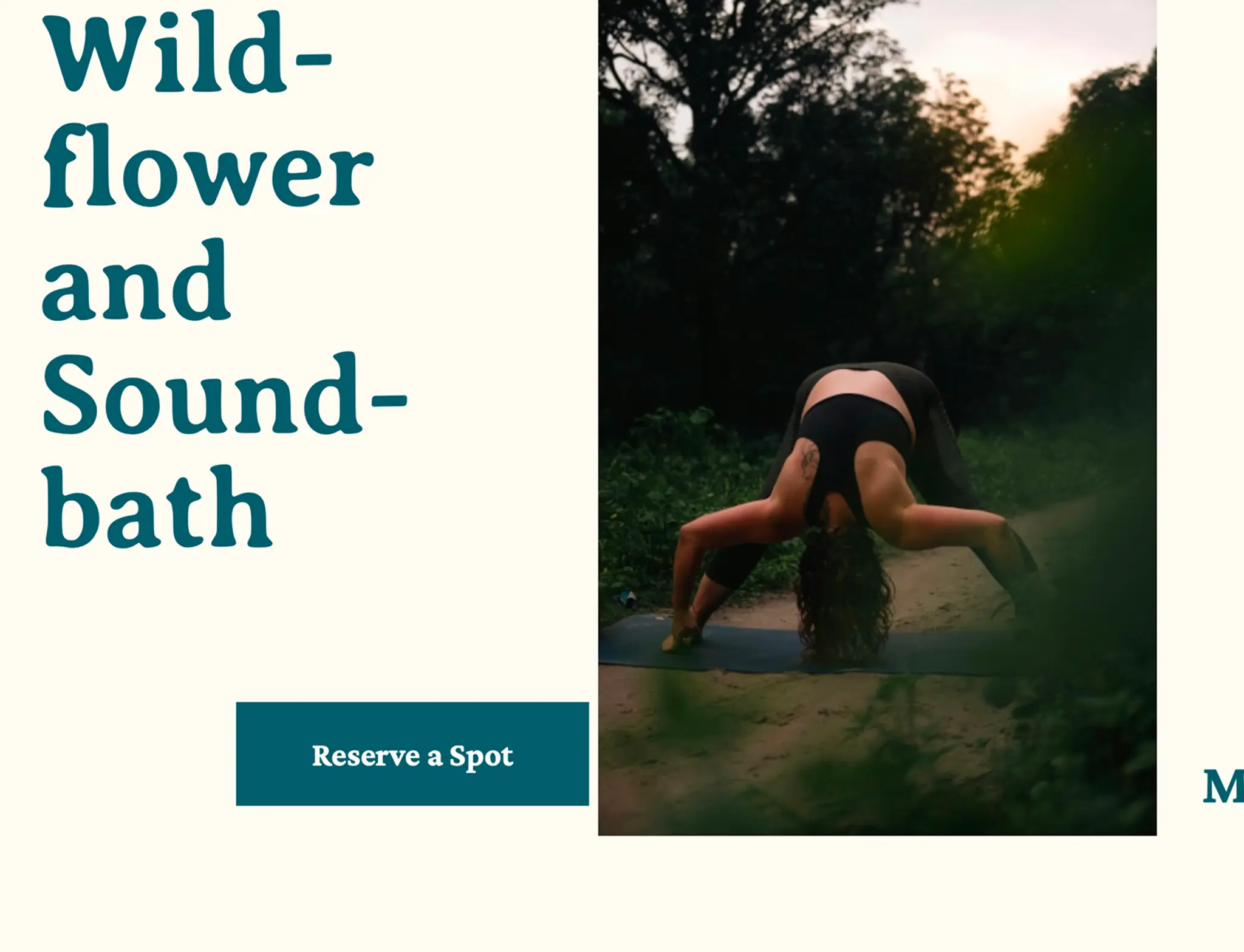 Wildflower and Soundbath