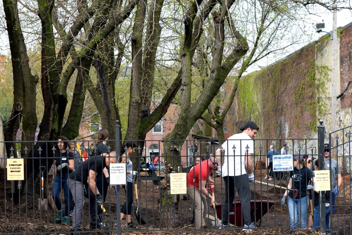 Volunteers at a park workday along the fence