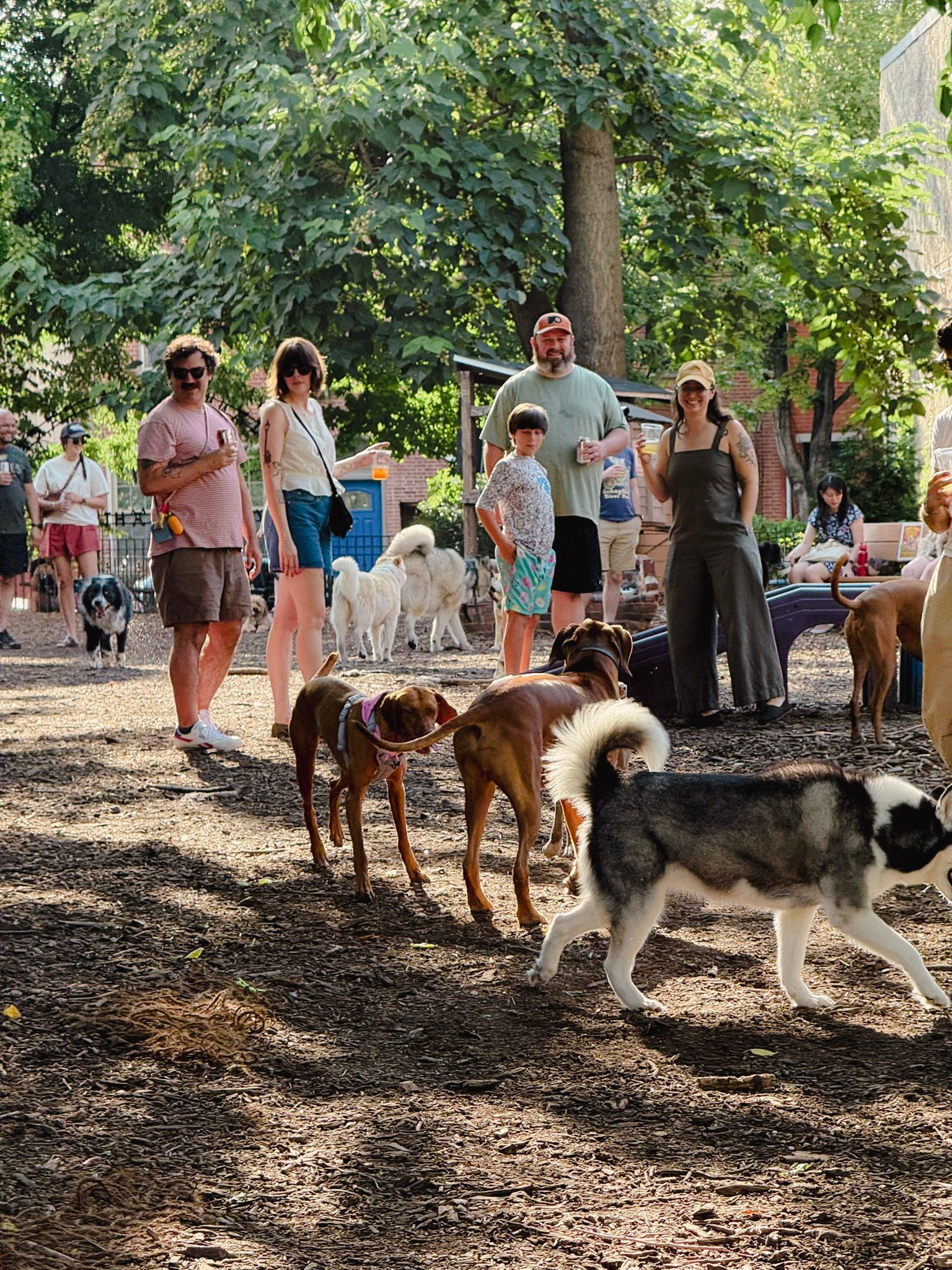 Neighbors and their dogs gathered in the park on a sunny day