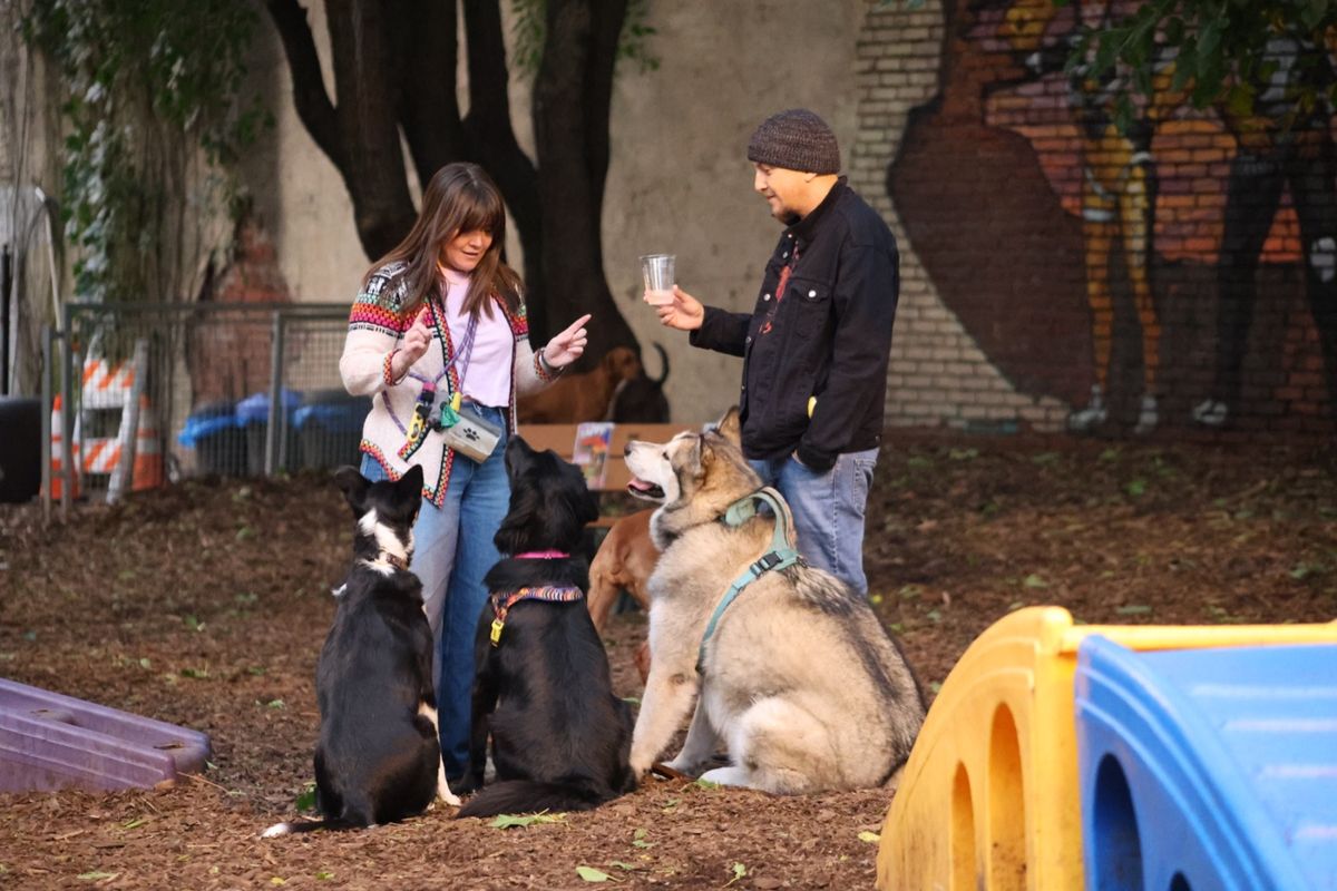Neighbors with three dogs at a Yappy Hour
