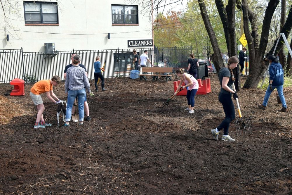 Volunteers raking fresh wood chips on a workday