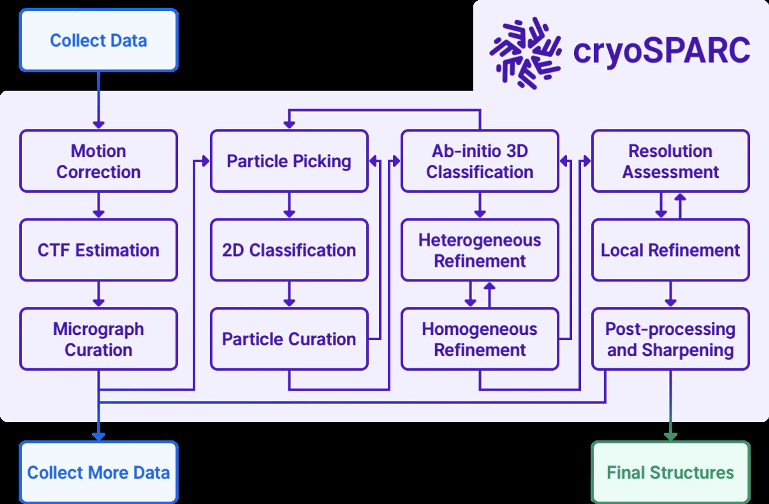 CryoSPARC process steps from data collection through final structures