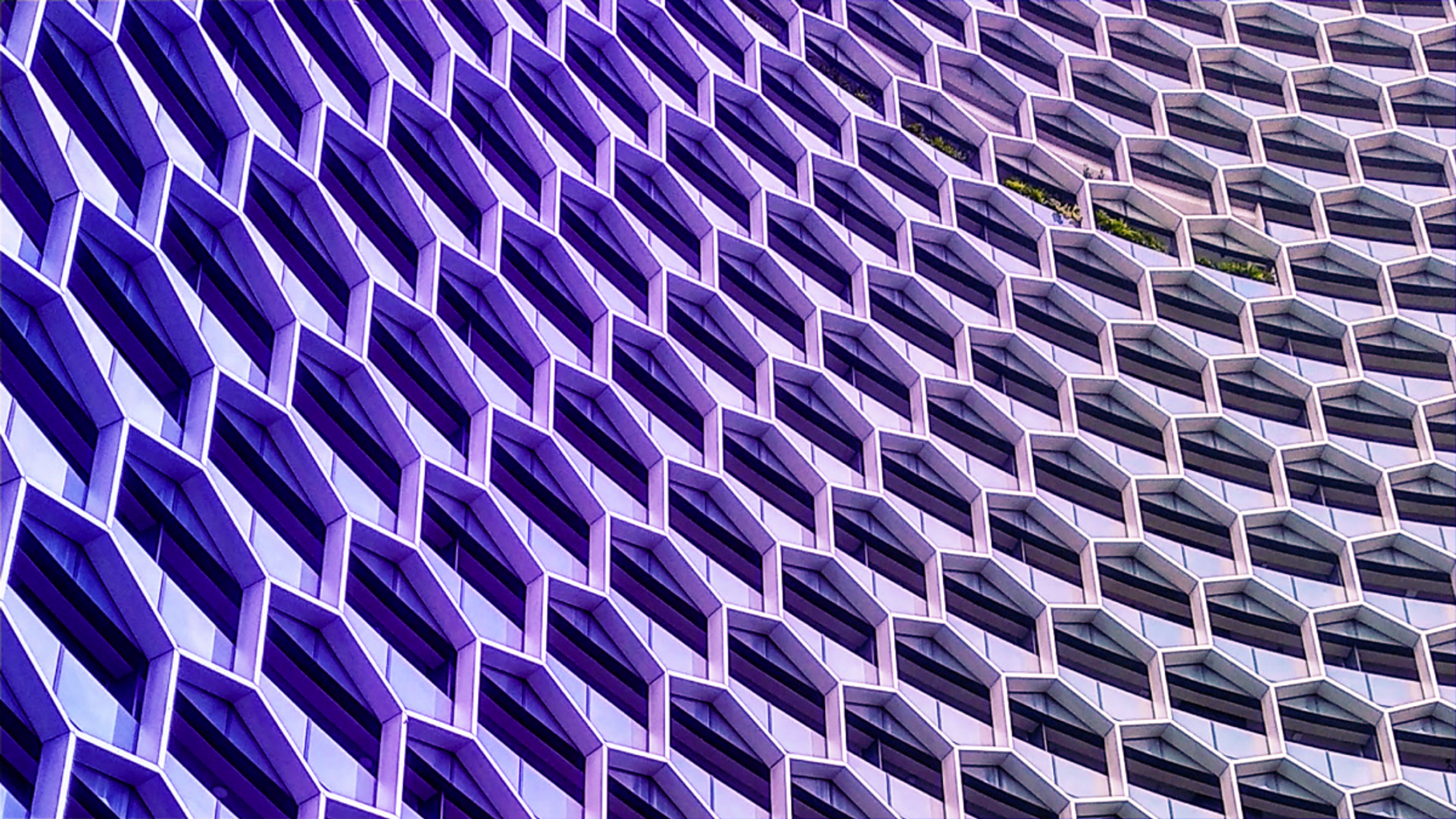 Purple-to-silver hexagonal building facade with hints of greenery.