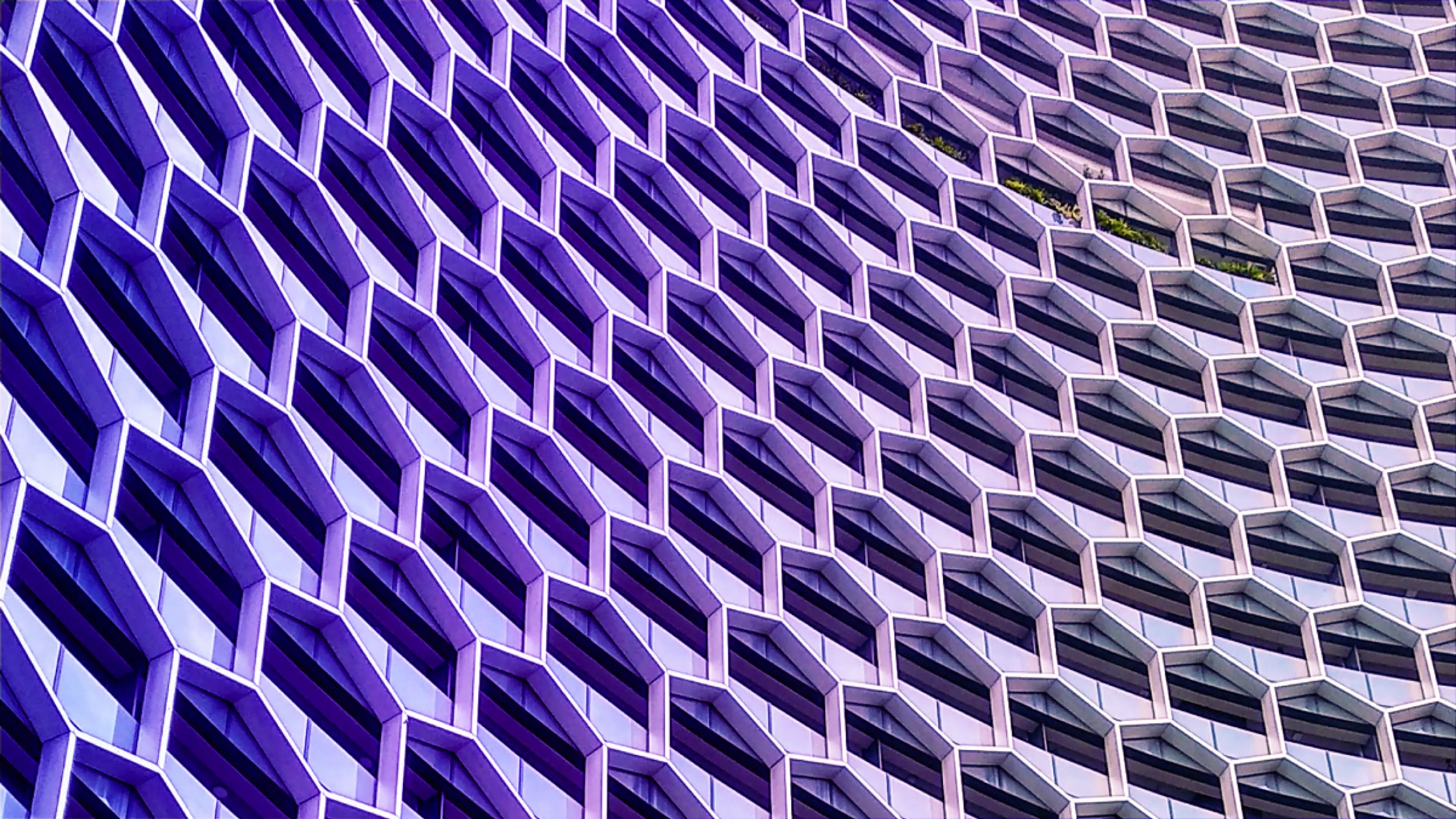 Purple-to-silver hexagonal building facade with hints of greenery.