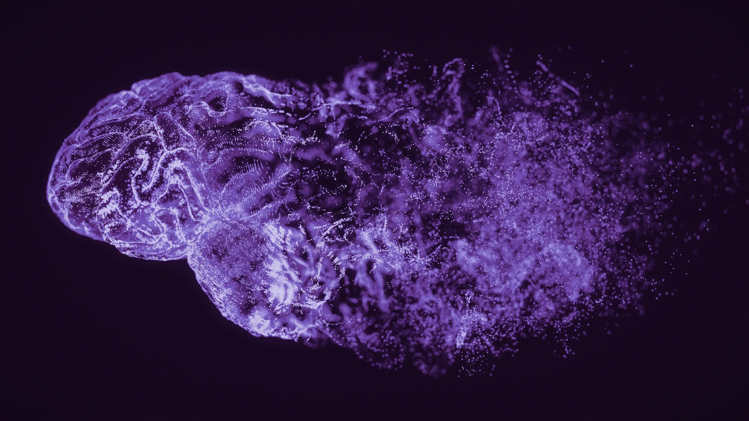 AI Cloud