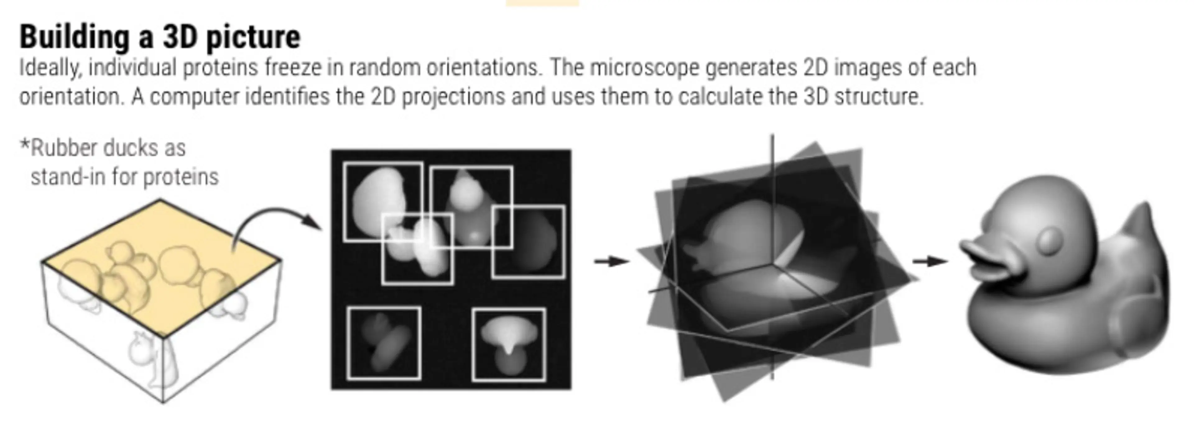 How to Accelerate Drug Discovery with Cryo-EM in the Cloud