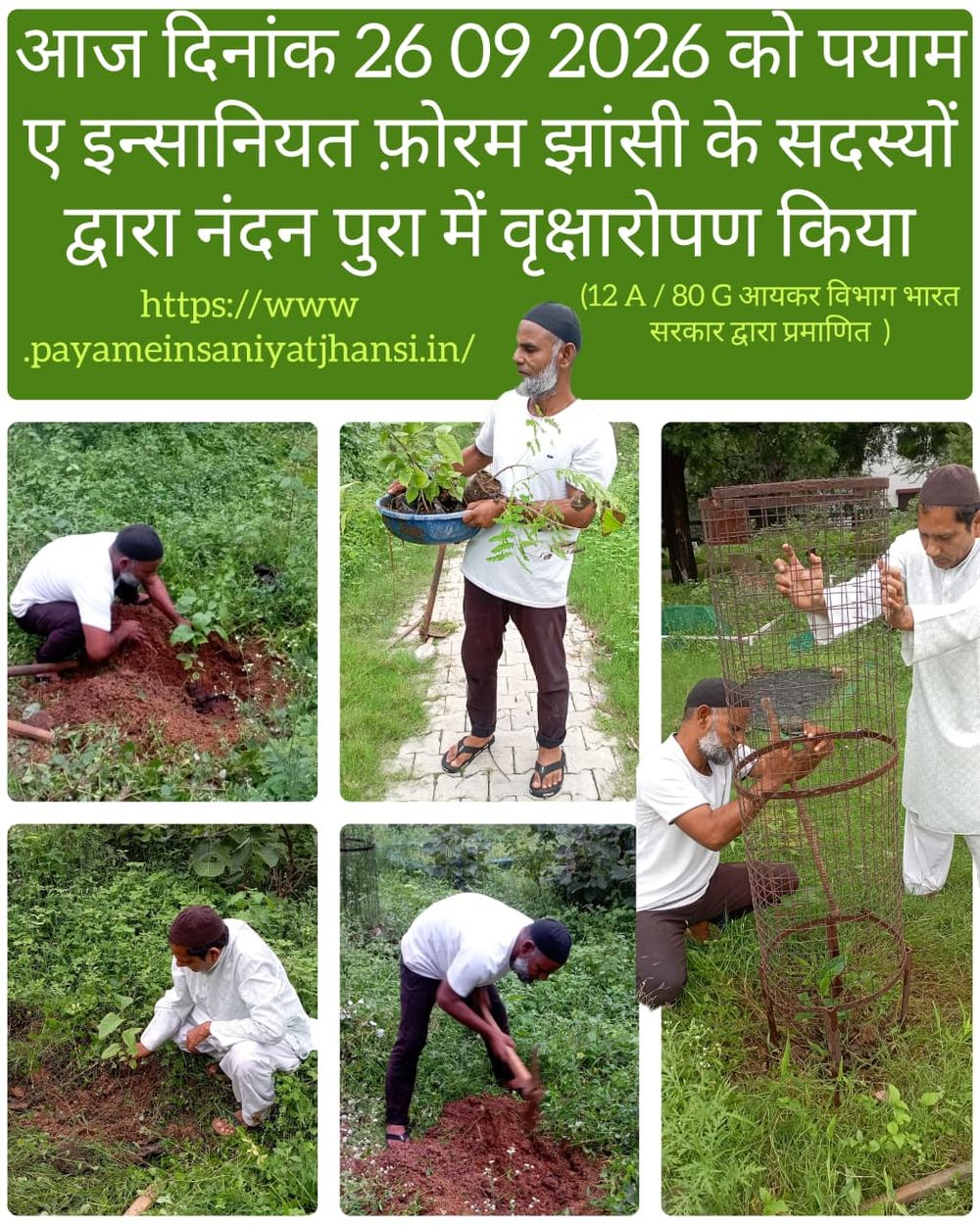 Tree Plantation Initiative in Nandan Pura