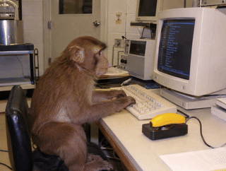 Apan sitter vid datorn med handen på tangentbordet och bananknappen bredvid.