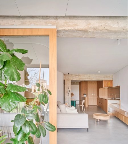 Pulso Studio