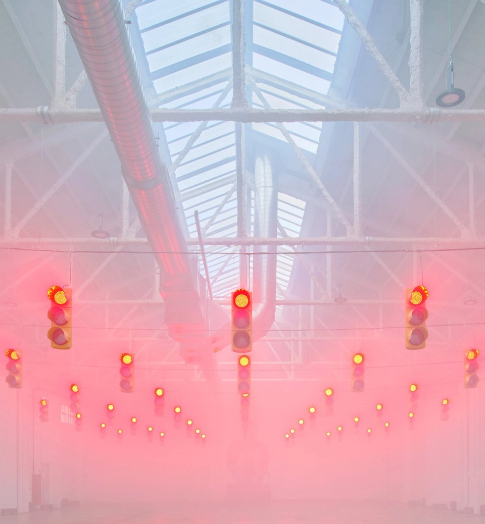 Studio Animal+Cabo San Roque