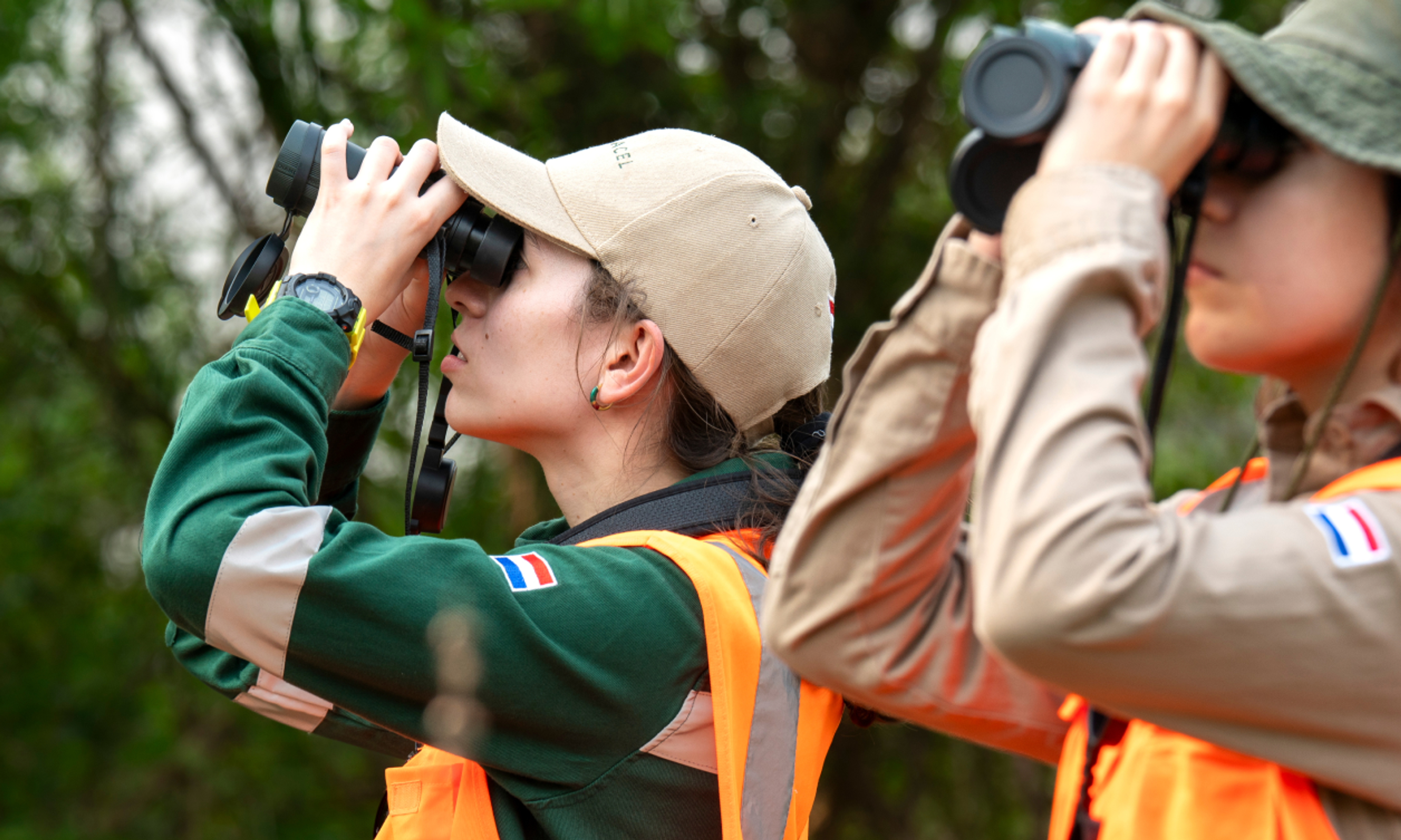 Workers looking at birds