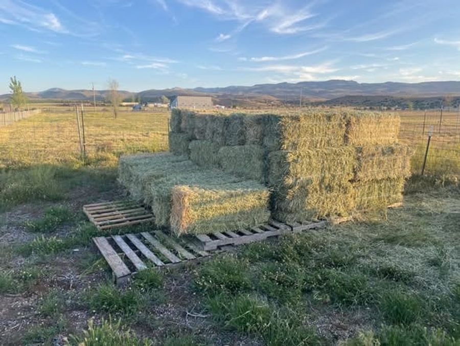 A finished hay stack set on pallets in a field