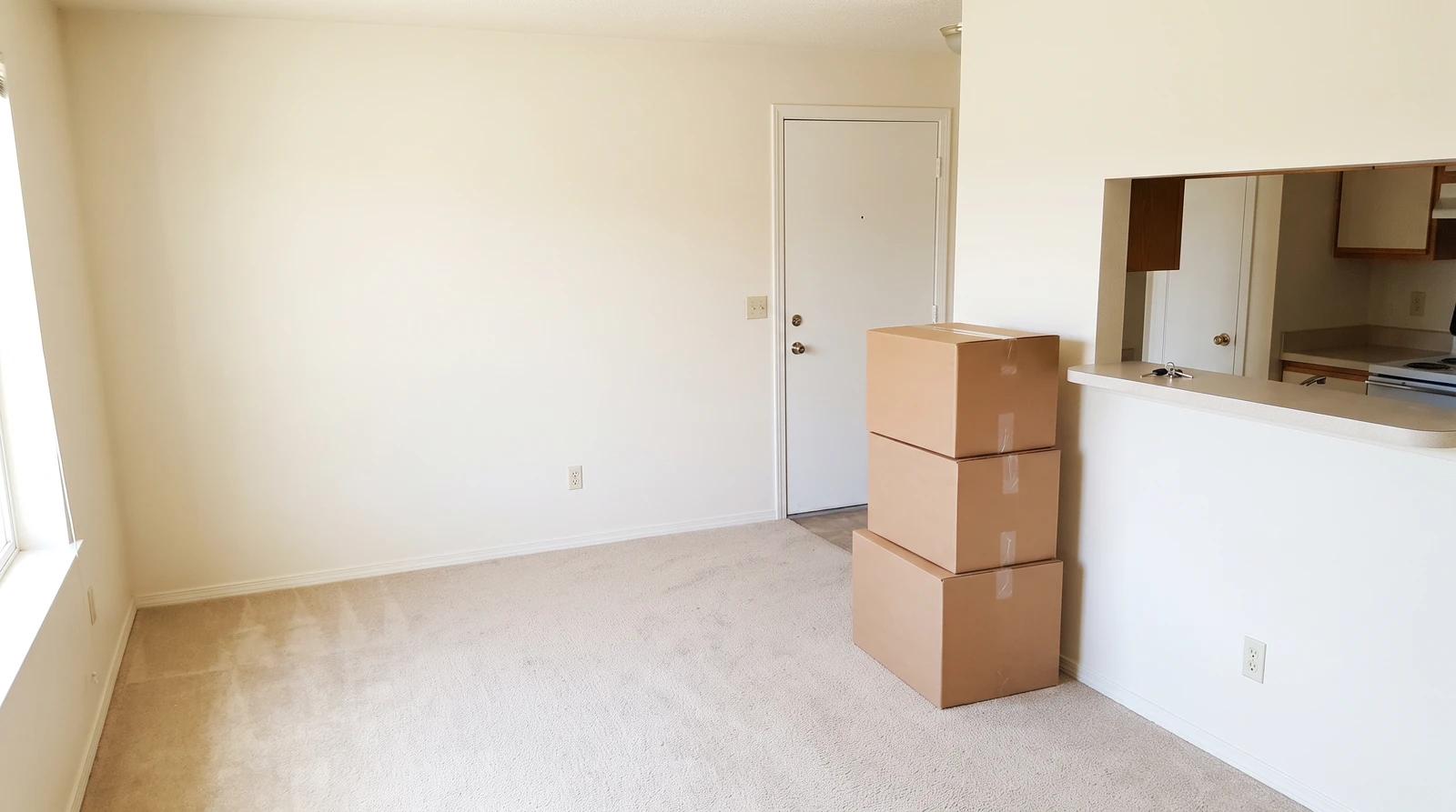 Empty apartment living room in Boise, Idaho, with sealed boxes by the door and keys on the counter after an estate cleanout