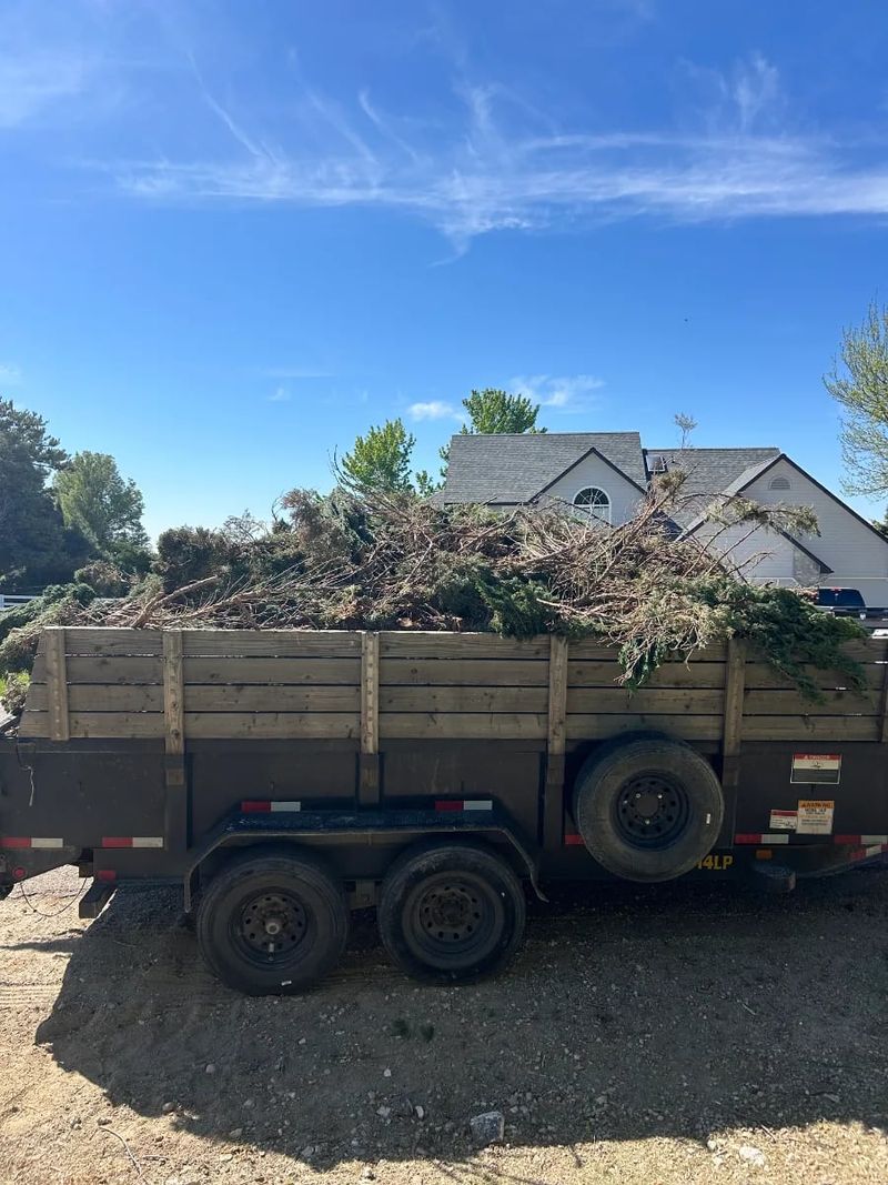 Yard Debris Removal
