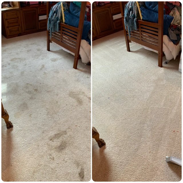 Carpet Cleaning project by Freedom Cleaning Services