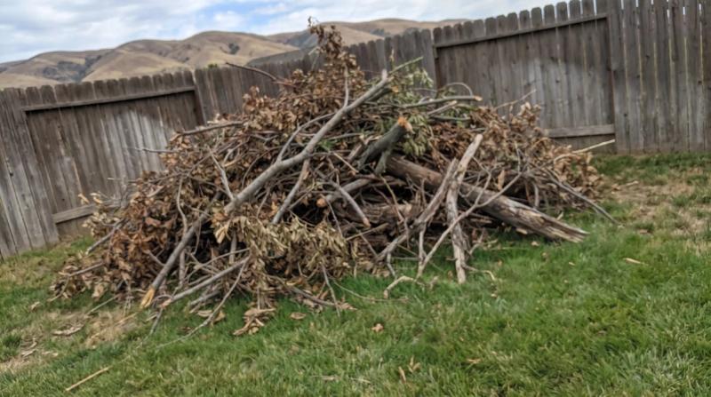 Yard Debris & Storm Cleanup